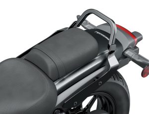 Passenger Grab Bar (Eliminator 500/SE)