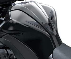 Tank Pad (Z1100)